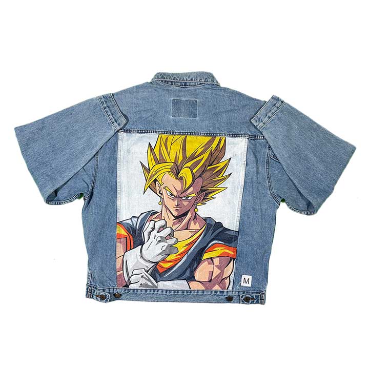 Goku — photo 1