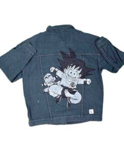 Goku and Krillin