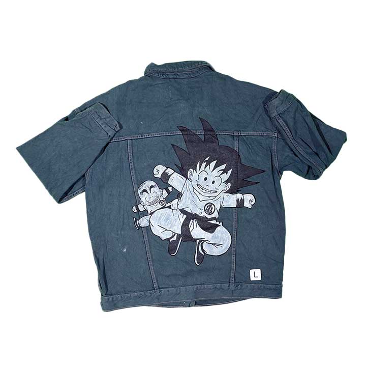 Goku and Krillin — photo 1